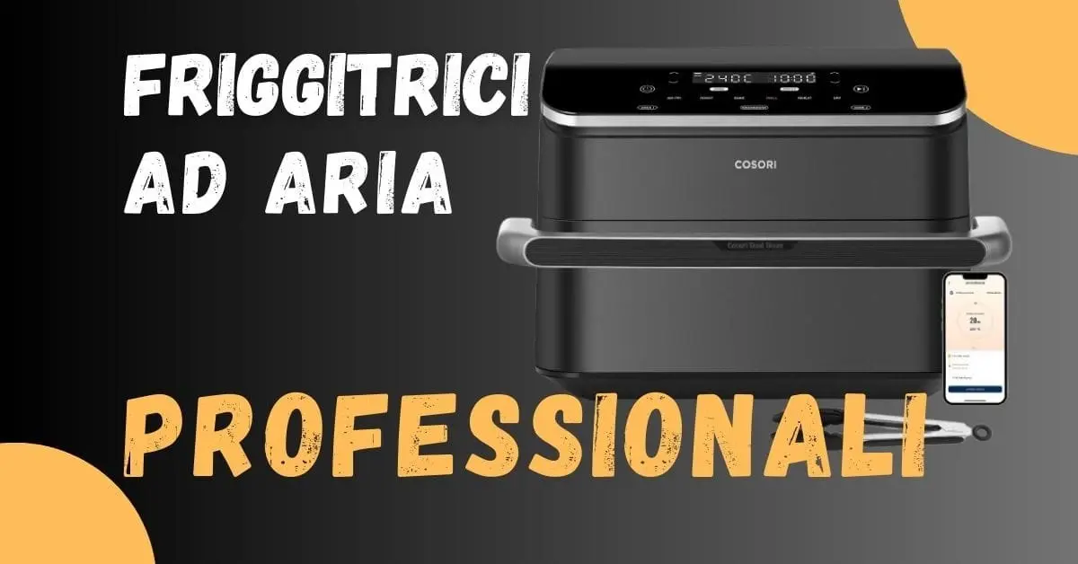 Miglior Friggitrice ad Aria Professionale? Ecco le Meglio Recensite