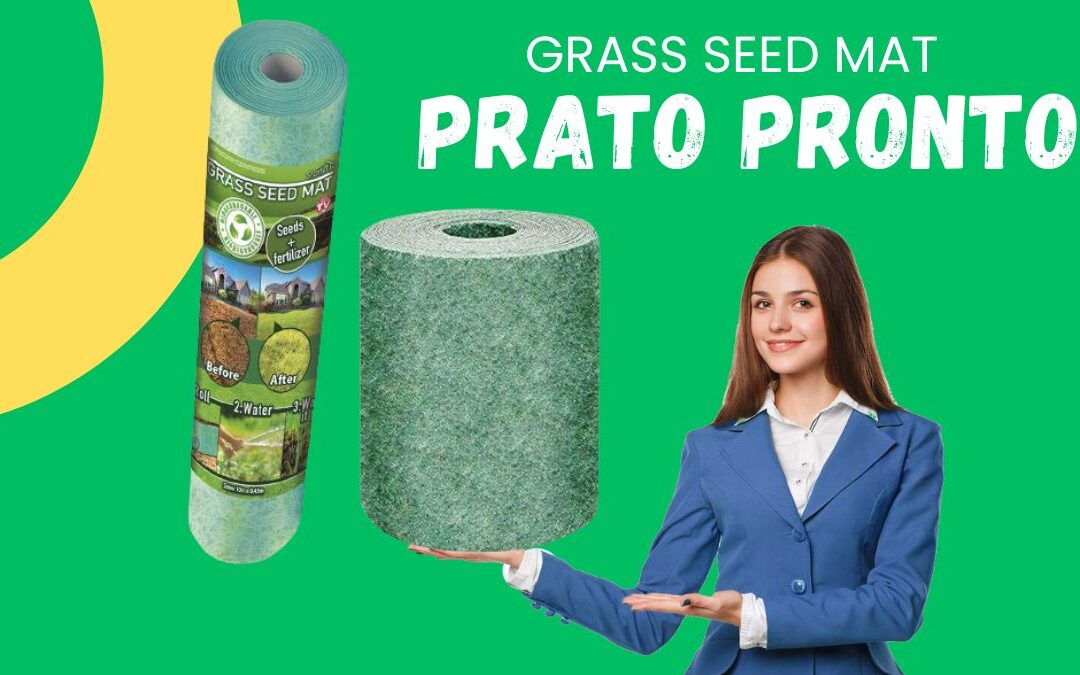 Recensione Prato Pronto a Rotoli Grass Seed Mat
